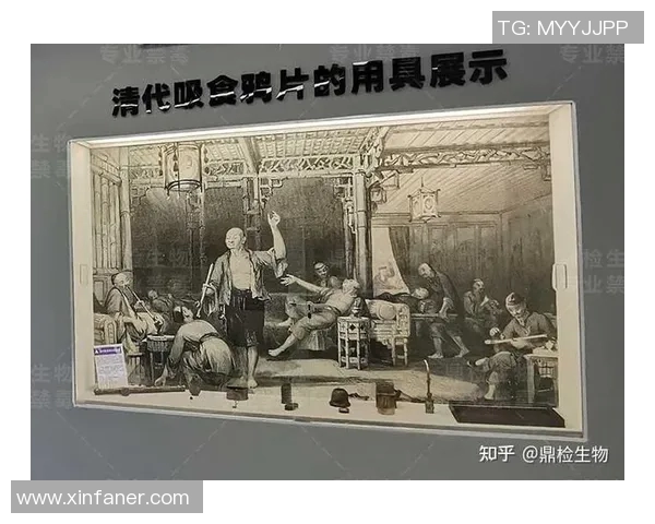 在紧迫的时光中如何成为压哨高手与时间携手共进
